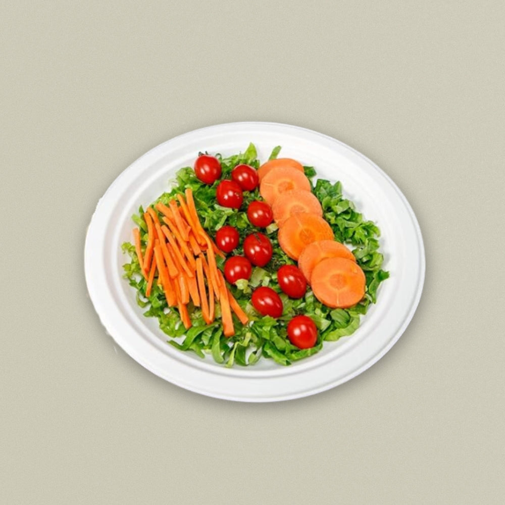 11" Round Sugarcane Bagasse Plate - Heavy Duty
