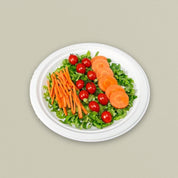 11" Round Sugarcane Bagasse Plate - Heavy Duty