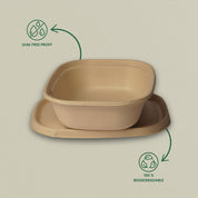 1000ml (34oz) Global Sugarcane Bagasse Container with Lid