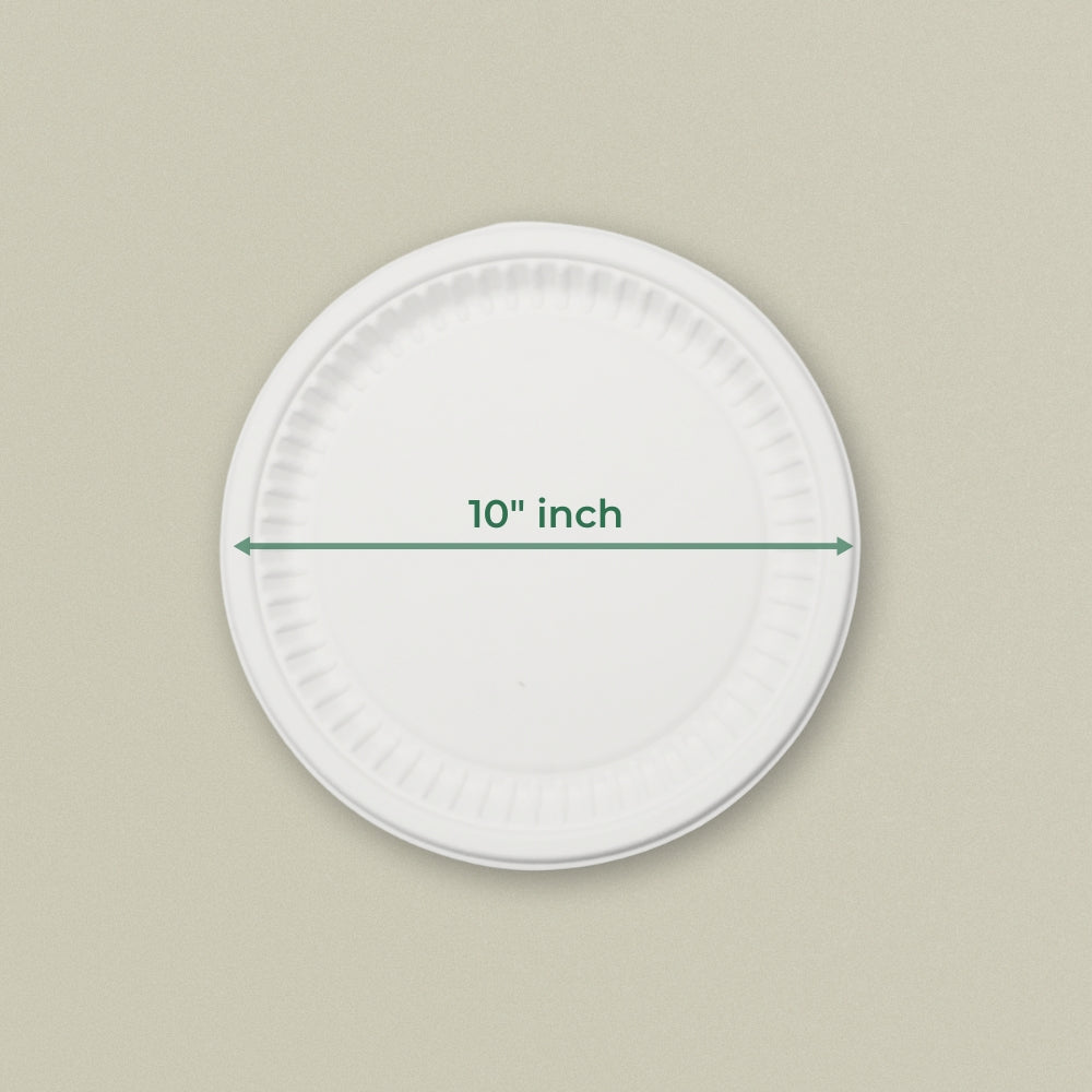10" Round Sugarcane Bagasse Plate