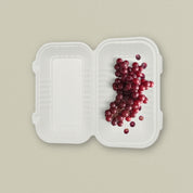 9x6" Sugarcane Bagasse Clamshell
