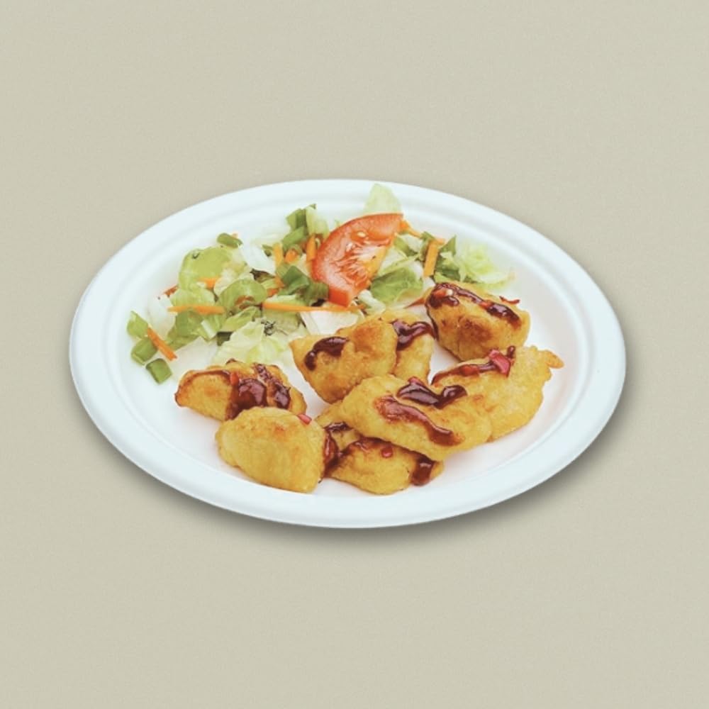 10" Round Sugarcane Bagasse Plate
